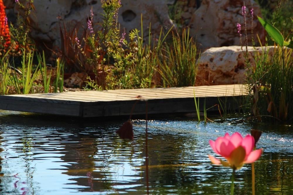 Il Fiore Della Vita Trulli Country House Конверсано Экстерьер фото